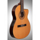 Ibanez Electric Classical Guitar GA5TCE